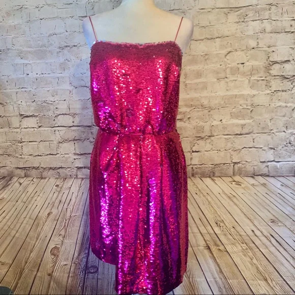 10 Crosby Derek Lam Fuchsia/Silver Sequin Reversible Color Cocktail Dress NWT